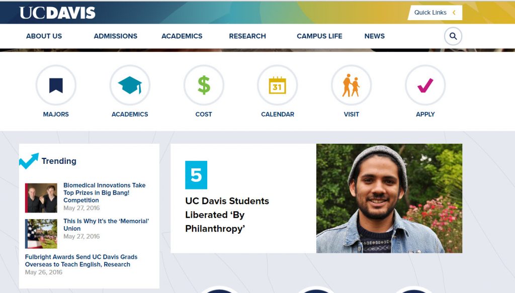 ucv-davis, Diseño Web