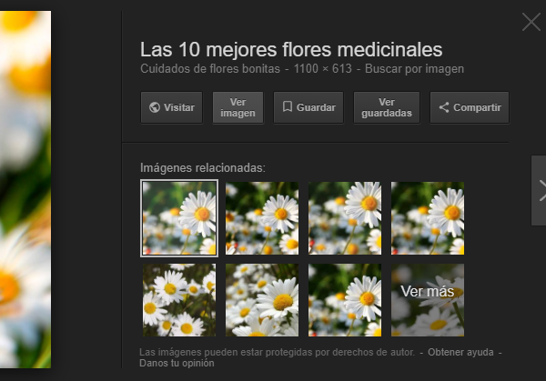 Google elimina el boton "Ver Imagen"