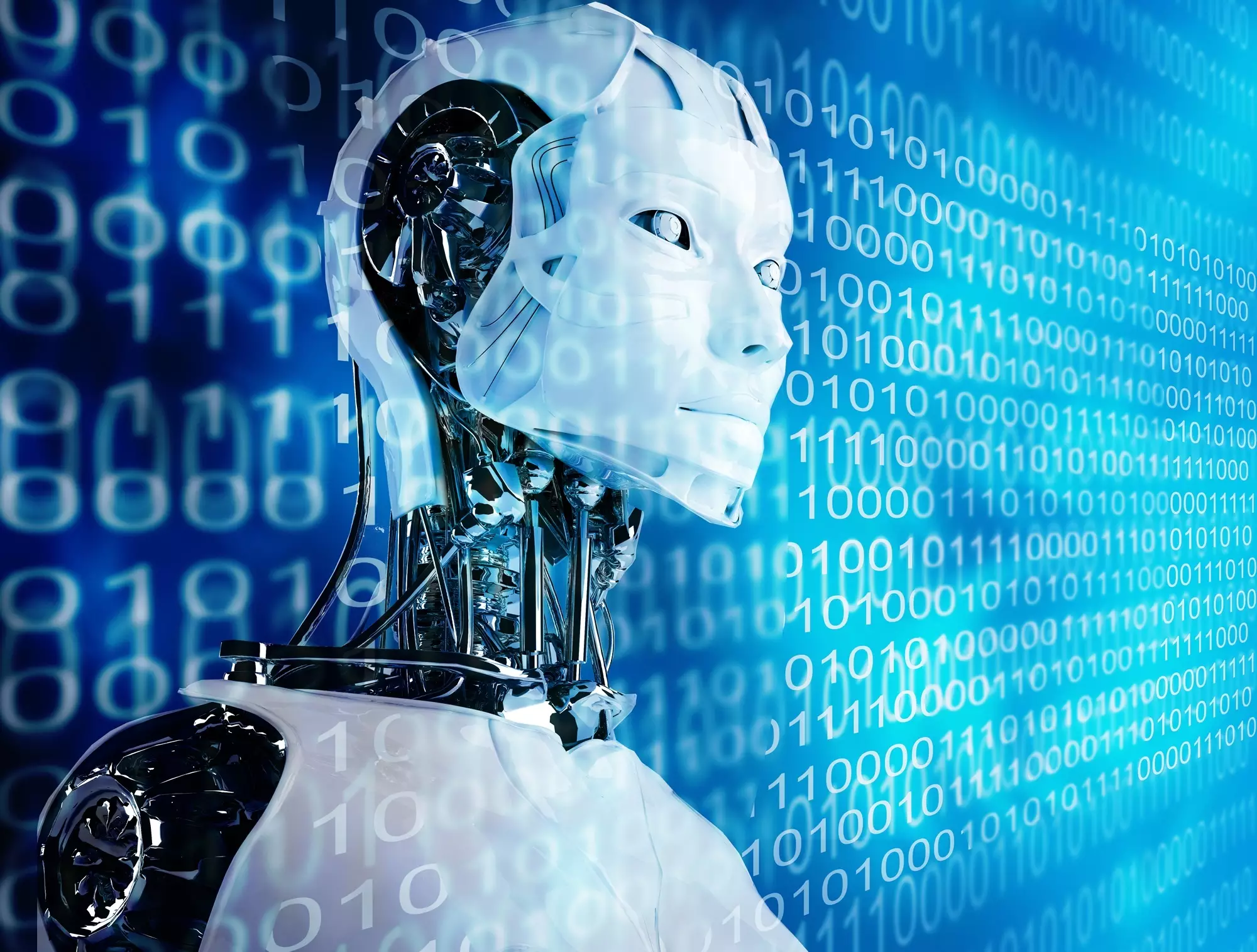 empresa chatbot